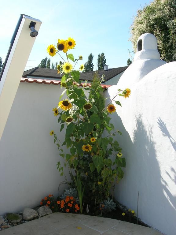 Apartamento Sekt & Wein - Walter Klein Illmitz Exterior foto